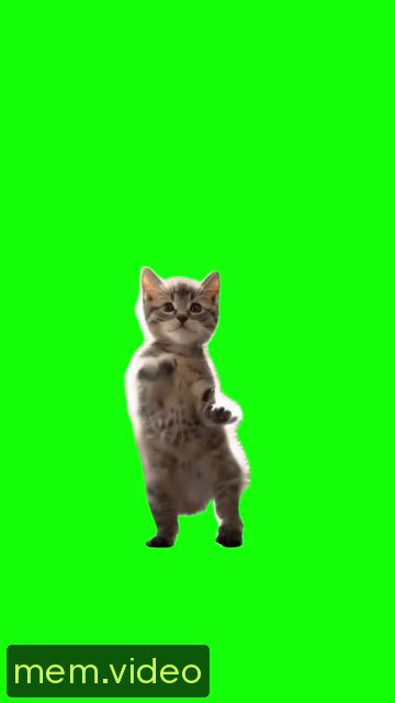 Кадр на 0:01