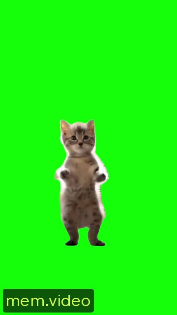 Кадр на 0:02