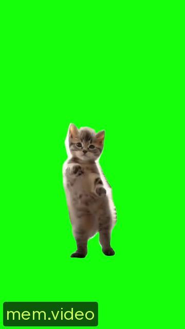 Кадр на 0:03