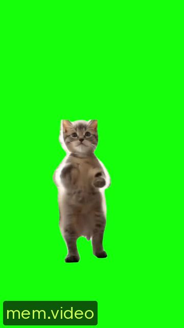 Кадр на 0:04
