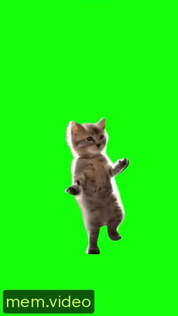 Кадр на 0:06