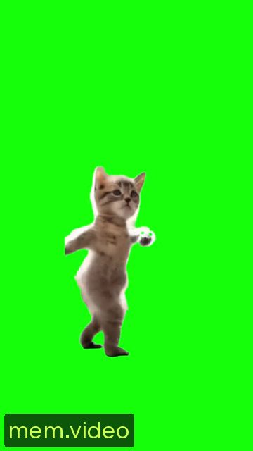 Кадр на 0:09
