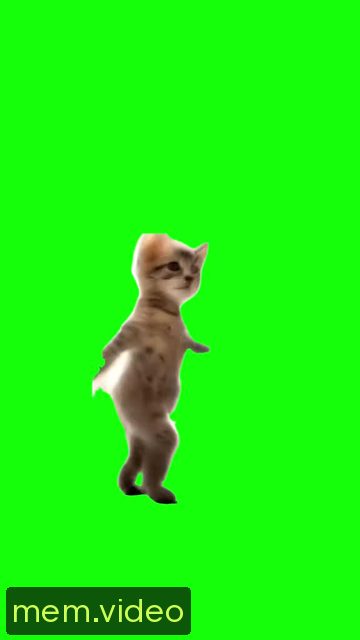 Кадр на 0:12