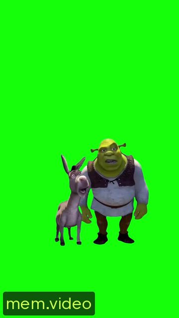 Кадр на 0:00