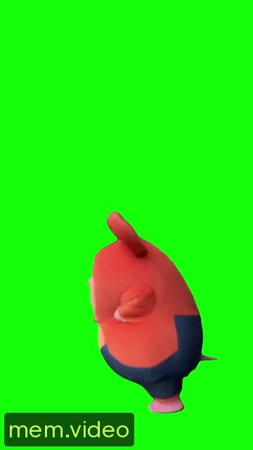 Кадр на 0:00