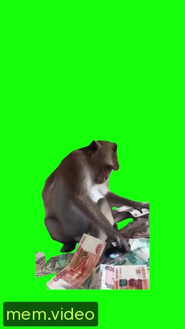 Кадр на 0:02