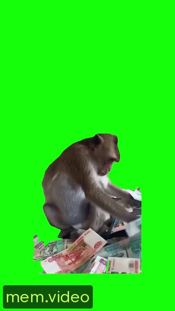 Кадр на 0:04