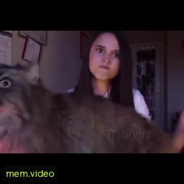 Кадр на 0:08