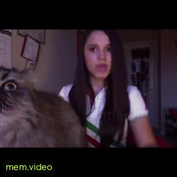 Кадр на 0:10