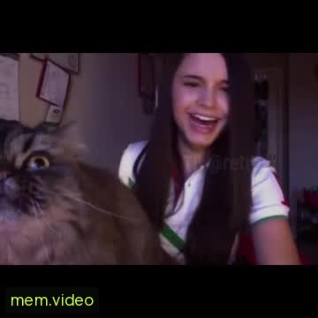 Кадр на 0:14