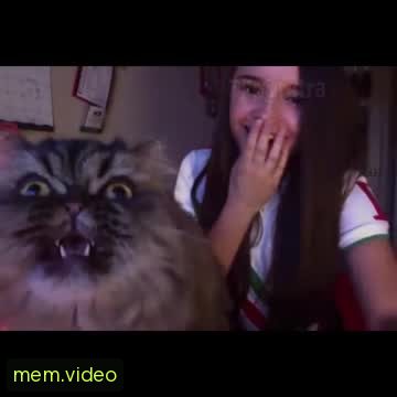 Кадр на 0:22