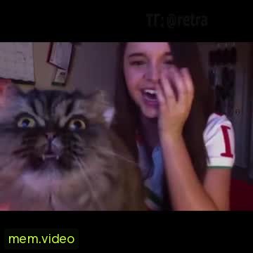 Кадр на 0:26