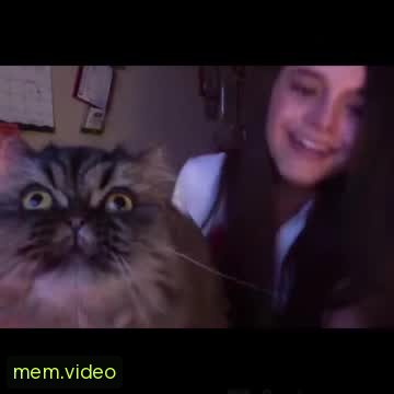 Кадр на 0:30
