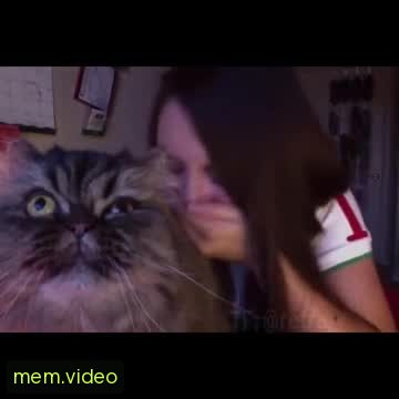 Кадр на 0:36