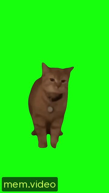 Кадр на 0:00