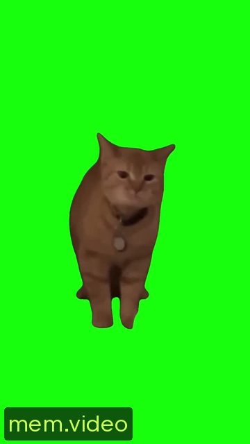 Кадр на 0:01