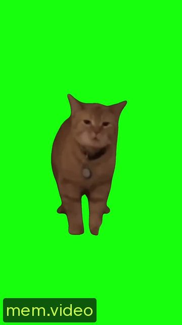Кадр на 0:02