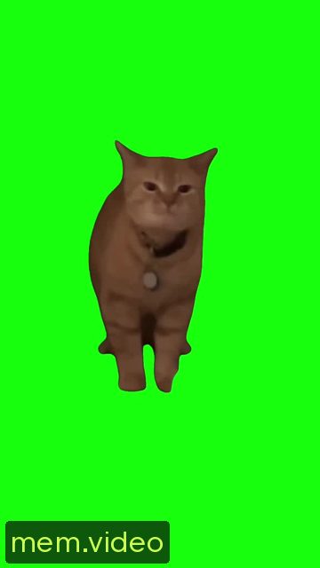 Кадр на 0:04