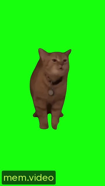 Кадр на 0:09