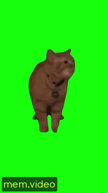 Кадр на 0:10