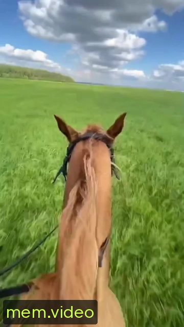 Кадр на 0:02