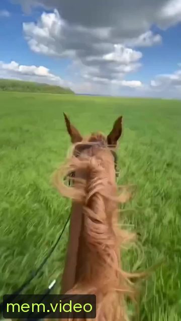 Кадр на 0:02