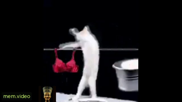 Кадр на 0:04