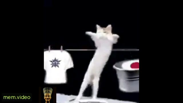 Кадр на 0:09