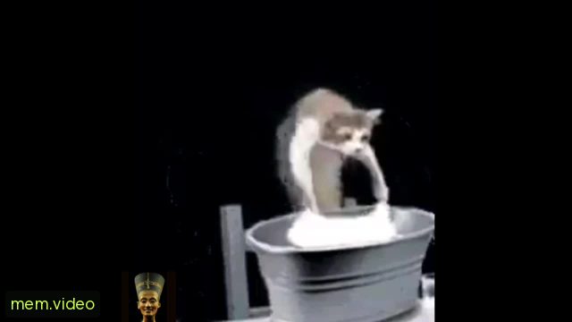 Кадр на 0:12