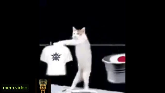 Кадр на 0:16