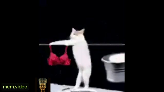 Кадр на 0:20