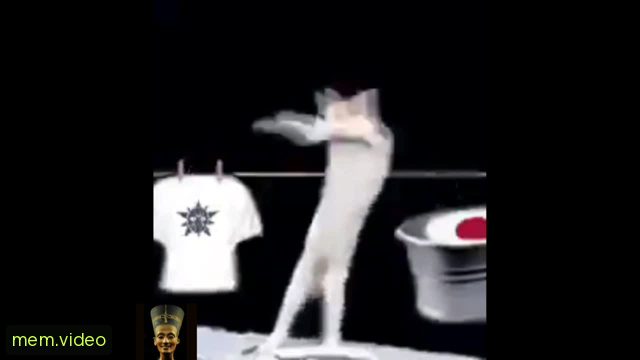 Кадр на 0:25