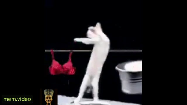 Кадр на 0:29