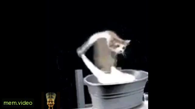Кадр на 0:33