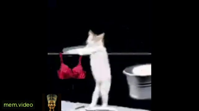 Кадр на 0:36
