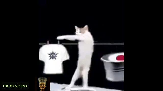 Кадр на 0:41