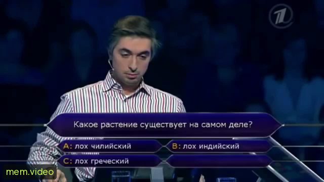 Кадр на 0:12