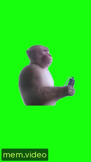 Кадр на 0:00