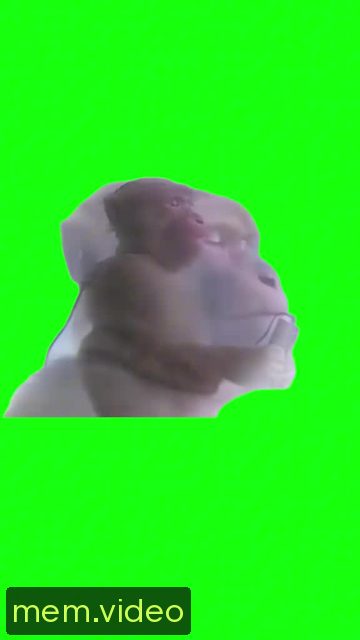 Кадр на 0:03