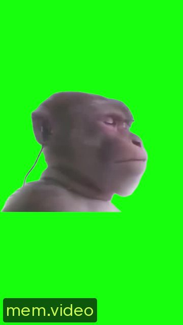 Кадр на 0:06