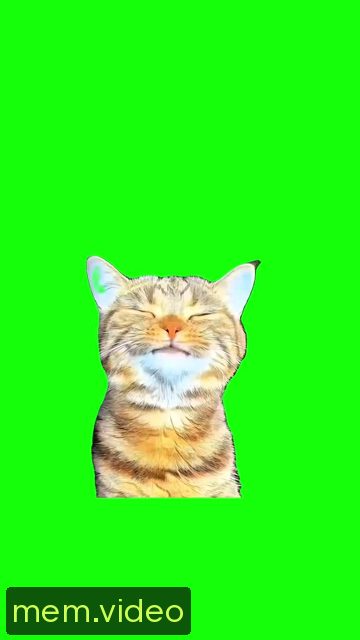 Кадр на 0:00