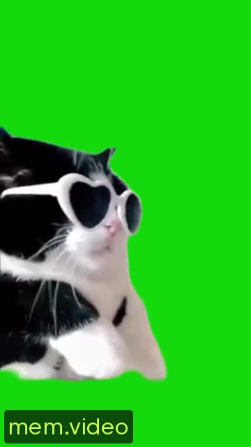 Кадр на 0:02
