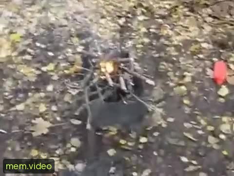 Кадр на 0:16