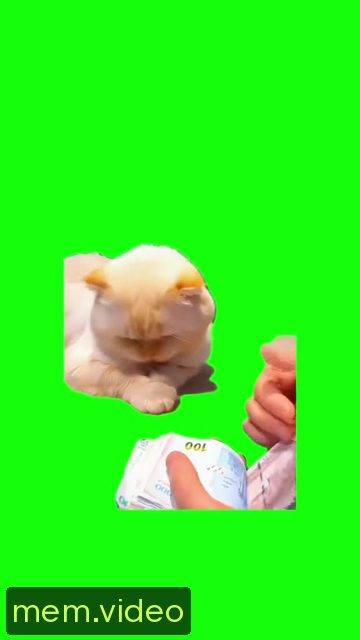Кадр на 0:01