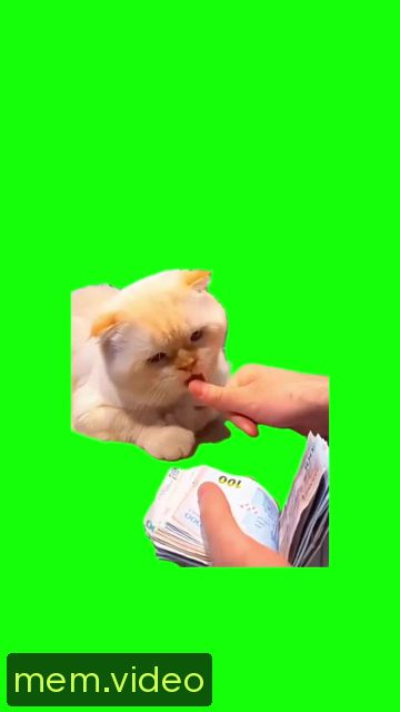 Кадр на 0:02