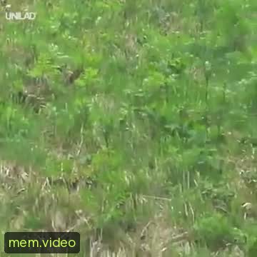 Кадр на 2:43