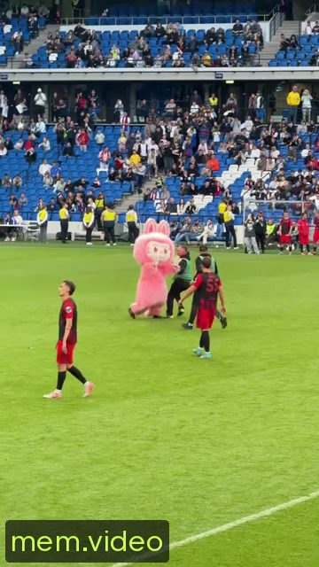 Кадр на 0:05