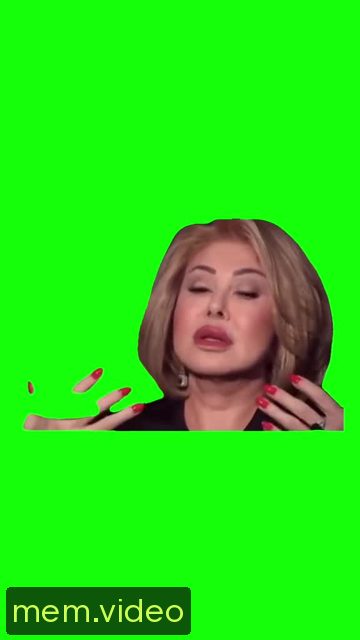 Кадр на 0:08