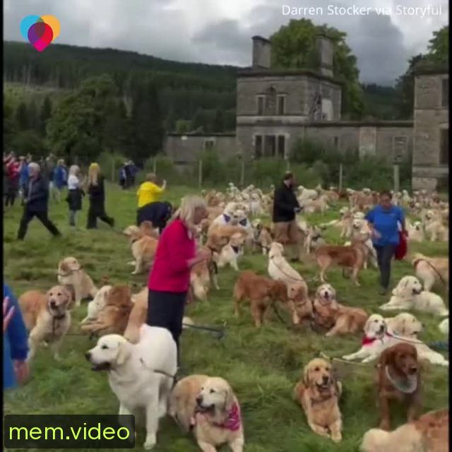 Кадр на 0:15