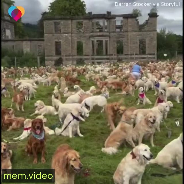 Кадр на 0:27